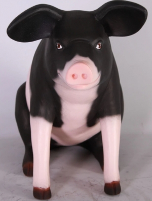Pig Pink & Black Sitting - Small (JR 020601PB)   