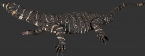 Lace Monitor Lizard 4ft (JR 080113)