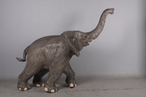 Elephant Baby Walking (JR 090026)