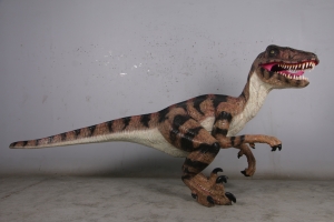 Dromaeosaurus -  Orange (JR 110115O)