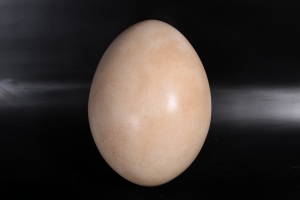 Sauropod Egg - 12inch (JR 140033)