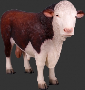 Hereford Bull (JR 160034) 