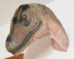 Allosaurus Head Looking Back (JR 100014)