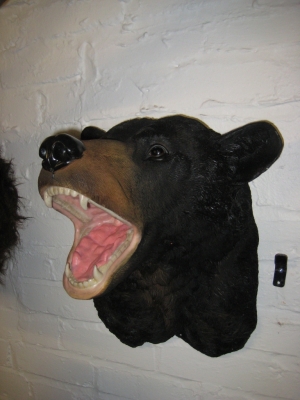 Black Bear Head (JR DD88140A)