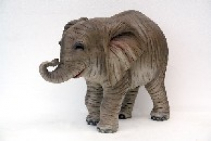 Elephant Baby (JR 2397)