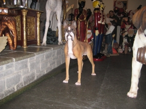 Boxer Dog (JR 2936)