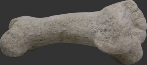 Dinosaur Bone model (JR 080129)