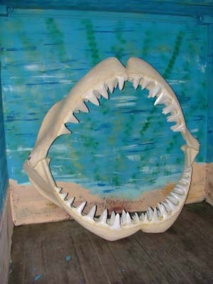 Shark Jaws Large (JR 2456)