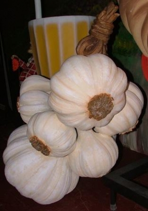 Bunch of Garlic 3.5ft (JR 2516)