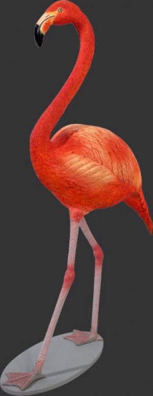 Flamingo (JR 110038)