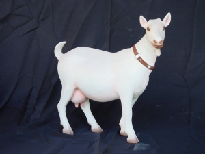 Goat - Pygmy (JR 2122)