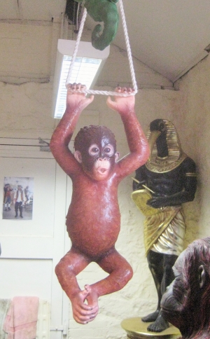 Orangutan Hanging (JR 120041)