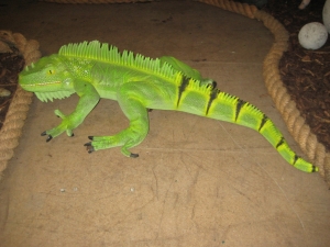 Iguana 3ft long (JR 2160)