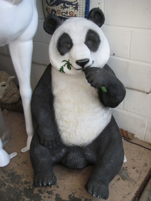 Panda Eating (JR 110040)	