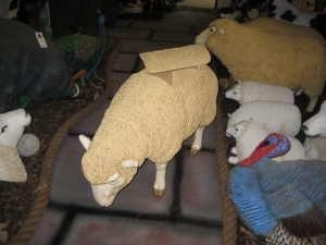 Merino Sheep Head Down Esky (JR 020409esky)