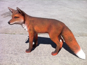 Red Fox (JR 100103)