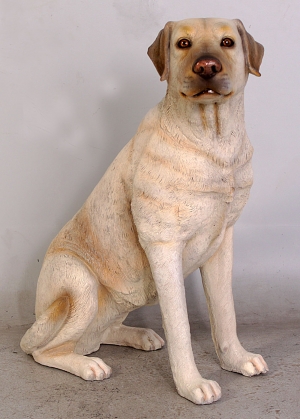 Labrador sitting - Yellow (JR 110098y)