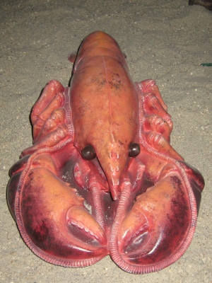 Lobster (JR AFLOB)