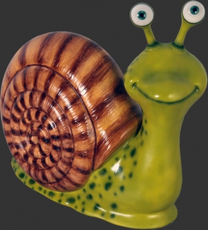 Snail - Male (JR 110027)	