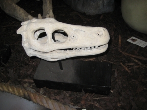 Raptor Skull on base (JR 100503RS)