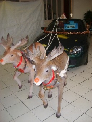 Reindeer life-size model (JR 966)
