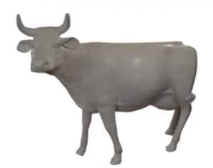 Cow - Smooth White head up with horns (JR SB001)