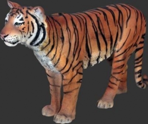 Sumatran Tiger (JR 100078)