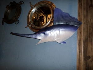 Swordfish Head ( JR DD88147A)