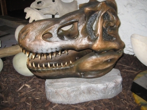 T Rex Skull Head (JR 2440)