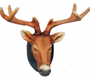 Deer Head -Young (JR R-090)