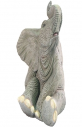 Baby Elephant - sitting (JR 080158) - Thumbnail 01