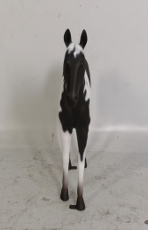 Horse Standing - Black & White 3ft (JR 100011) - Thumbnail 03