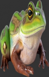 Green and Golden Bell Frog - Giant (JR 100017)