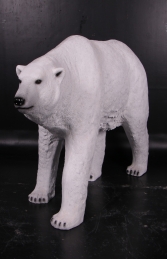 Polar Bear (JR 110009) - Thumbnail 01