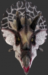 Definitive Triceratops Head (JR 110081)