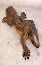 Giant Leaf Tailed Gecko - (JR 110092) - Thumbnail 01