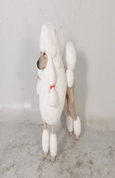 Poodle Dog - White (JR 110121) - Thumbnail 01