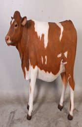 Guernsey Cow (JR 120003) - Thumbnail 01