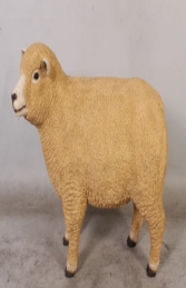 Ryeland Ewe Sheep (JR 120006) - Thumbnail 01