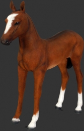 Foal (JR 120043)