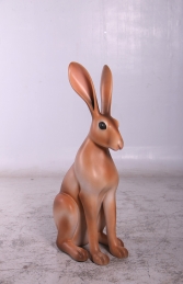 Hare (JR 150086) - Thumbnail 01