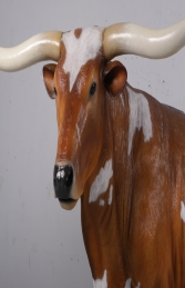 Texas Longhorn Bull (JR 170163)  - Thumbnail 03