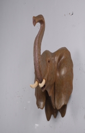 Elephant Head (JR 170186) - Thumbnail 01