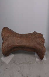 Bone - Titanosaur (JR 180007) - Thumbnail 01