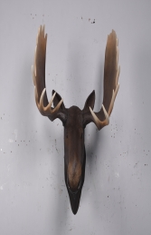 Moose Head (JR 180023)