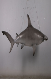 Scalloped hammerhead shark 6ft -JR 190101 - Thumbnail 01
