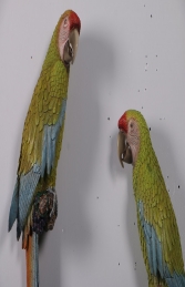 Buffons Macaw set of 2 JR 190152 - Thumbnail 02