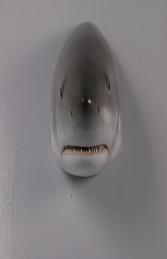 Great White Shark Head 20" - JR 190168 - Thumbnail 02