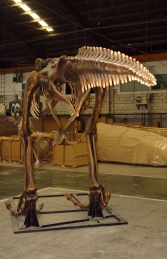 T Rex Skeleton (JR 2602) - Thumbnail 03