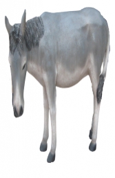 Donkey 3ft Life-size - Grey(JR 2006G) - Thumbnail 01